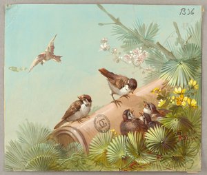Duvar Kağıdı ve Tekstil Tasarımları: Çiçekler ve Kuşlar by Unknown artist