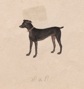 Köpek by Unknown artist