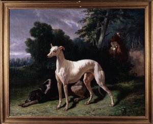 Köpekler (Levary) - Tablo, Tuval üzerine yağlı boya by Unknown artist