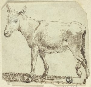 Eşek by Unknown artist