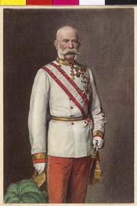 Avusturya İmparatoru I. Franz Joseph by Unknown artist