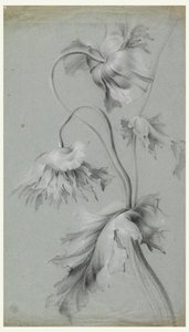 çiçek tasarımı by Unknown artist