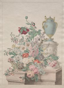 Pitoresk Flora veya Meyve ve Çiçek Koleksiyonu by Unknown artist
