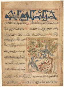 Ebu Said Ubeyd-Allah ibn Cibrail ibn Bakhishu
