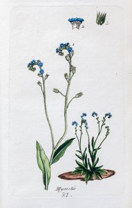Unutma beni-nots by Unknown artist
