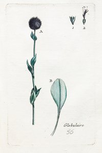 Küresel by Unknown artist