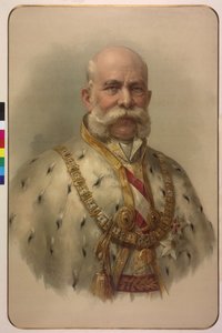 Yarım boy İmparator I. Franz Joseph polar cübbe içinde by Unknown artist