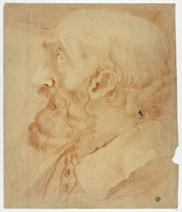 Profilden Sakallı Adam Başı by Unknown artist