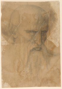 Yaşlı Sakallı Bir Adamın Başı by Unknown artist