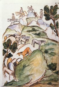 At bakıcıları, Trujillo piskoposu Baltazar Martinez Compañón y Bujanda'nın (1782-1785) yazdığı "Trujillo del Peru" veya "Códice Martínez Compañón" kitabından, onları yakalamak için dağlarda denizleri çevrelerler. by Unknown artist