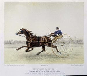 Binicilik: Shepherd F. Knapp, paça - “” centaur”da” by Unknown artist