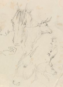 Atlar, İnekler ve İnsanlar by Unknown artist