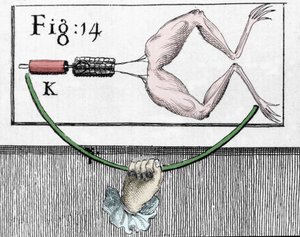 İtalyan fizikçi ve doktor Luigi Galvani