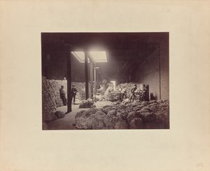 [Yün ayıklama evinin içi, Walter Brown and Company] by Unknown artist