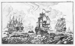 La chasse à la caleine - Cornelis Zorgdrager
