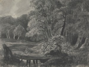 Gölet ile Manzara by Unknown artist