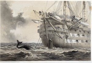 Atlantik telgraf kablosunu döşemek, teknenin etrafına bir balina by Unknown artist