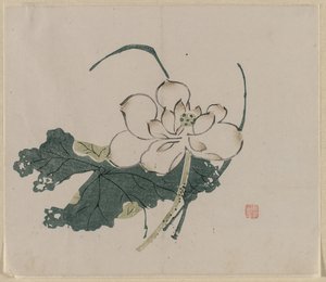 Lotus Çiçeği by Unknown artist