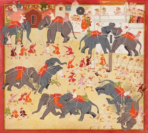 Maharana Raj Singh bir fil dövüşünü izliyor by Unknown artist