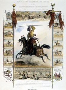 Mameluck (Doğu Binicilik) - Charles Aubry