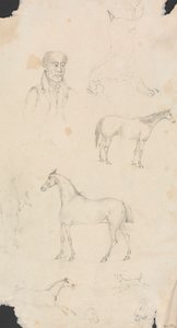 Adam, Atlar ve Köpekler by Unknown artist