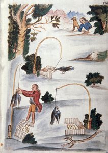 Baltazar Martinez Compañón y Bujanda, Trujillo piskoposu (1782-1785) tarafından yazılan "Trujillo del Peru" veya "Códice Martínez Compañón" kitabından kementle kuş yakalama yöntemi by Unknown artist