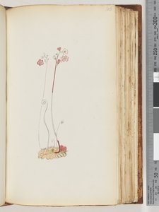 Sayfa 106. Yazı yok, çizim bitmemiş by Unknown artist