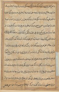 Papağan Masalları