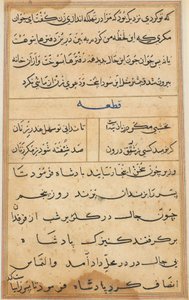 Papağan Masalları