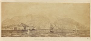 [Liman panoraması, Funchal, Madeira] by Unknown artist