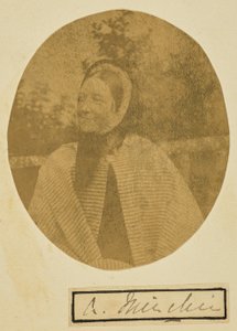 [Amelia Minchin