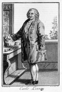 Carl Von Linné