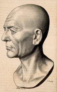 Publius Cornelius Scipio (Afrikalı Scipio) Africanus