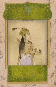 bir bayan portresi by Unknown artist