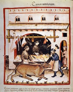 Sığır eti üretimi ve satışı (kasap): Bir sığır şaşkına döner. İlaç ve diyetetik sağımlarından aydınlatma “” Tacuinum sanitatis”” by Unknown artist