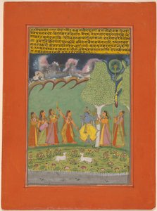 Rag Megh Malar, Garland of Musical Ragas (Ragamala) Setinden bir sayfa by Unknown artist