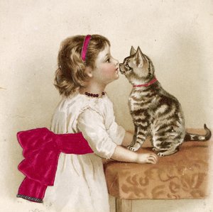 Kitty