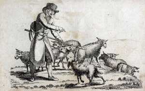 Koyun sürüsü ile çoban. 18. yüzyılın sonlarında gravür. Özel koleksiyon. by Unknown artist