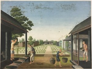 Kumaş Eğirme, Çay Yaprağı Hazırlama, İpek Hazırlama by Unknown artist