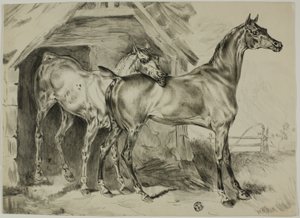 Ayakta Mare ve Colt by Unknown artist