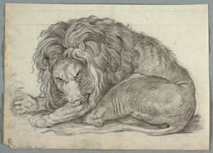 Aslan Çalışması by Unknown artist