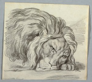 Aslan Çalışması by Unknown artist