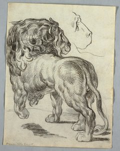 Aslan Çalışması by Unknown artist