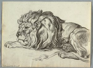 Aslan Çalışması by Unknown artist