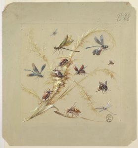Tekstil veya Duvar Kağıdı Tasarımı: Böcekler by Unknown artist