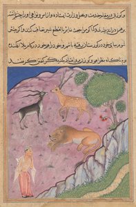 Brahman, bir Tuti-nama