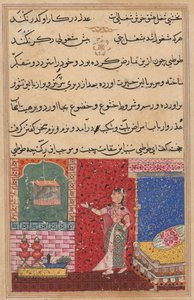 Papağan, Bir Tuti-nama