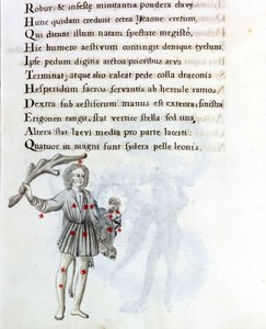 Temsil edilen takımyıldız, Berenices