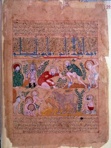 Doktor Andromakhos tarımsal faaliyetleri gözlemler Minyatür “” Panzehir kitabı” 1199 Paris, B.N. by Unknown artist