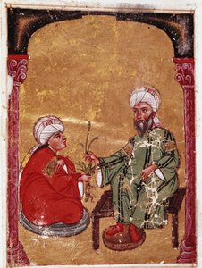 Doktor ve botanikçi Pedanius Dioscoride (Pedanius Dioscorides) (MS 40-90) öğrencilerinden biri ile birlikte “De materia medica” adlı tezinden minyatür (ms Ahmed III, 2147, folio 217a) 1229 Topkapı Sarayı Müzesi Kütüphanesi, İstanbul by Unknown artist